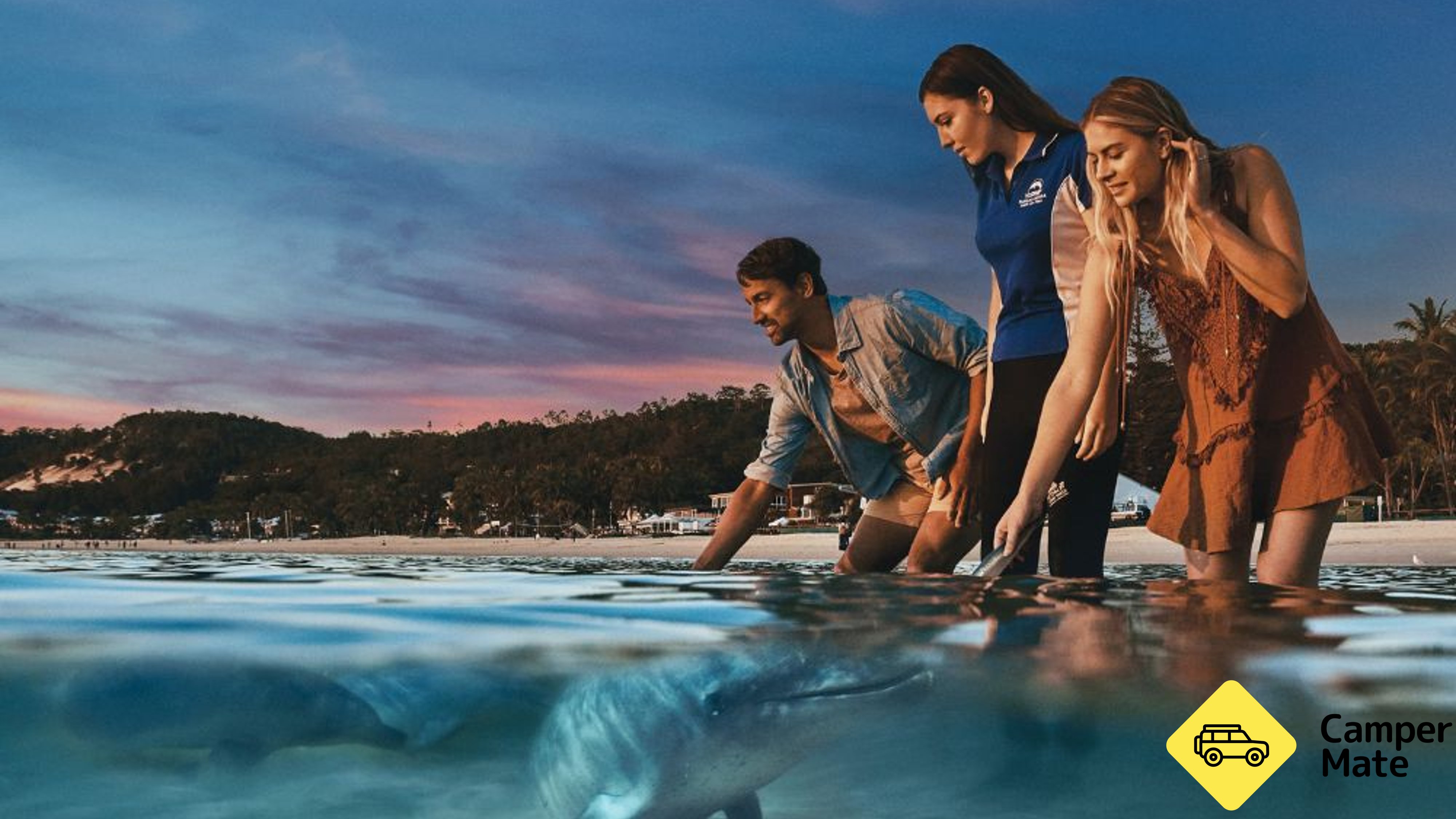 Moreton Bay Cruise with Dolphin Feeding and Whale Watching