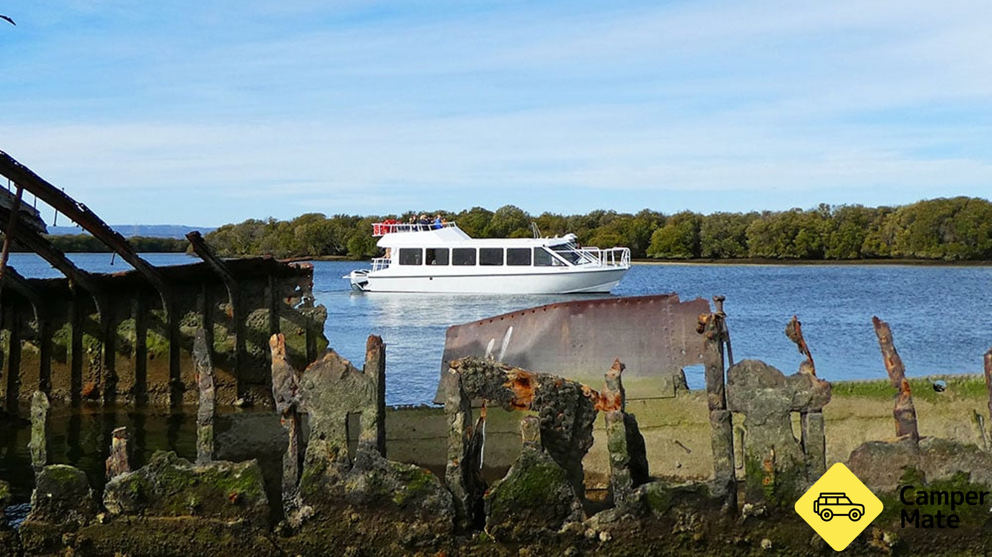 Port River Dolphin Cruise - 90 Minutes
