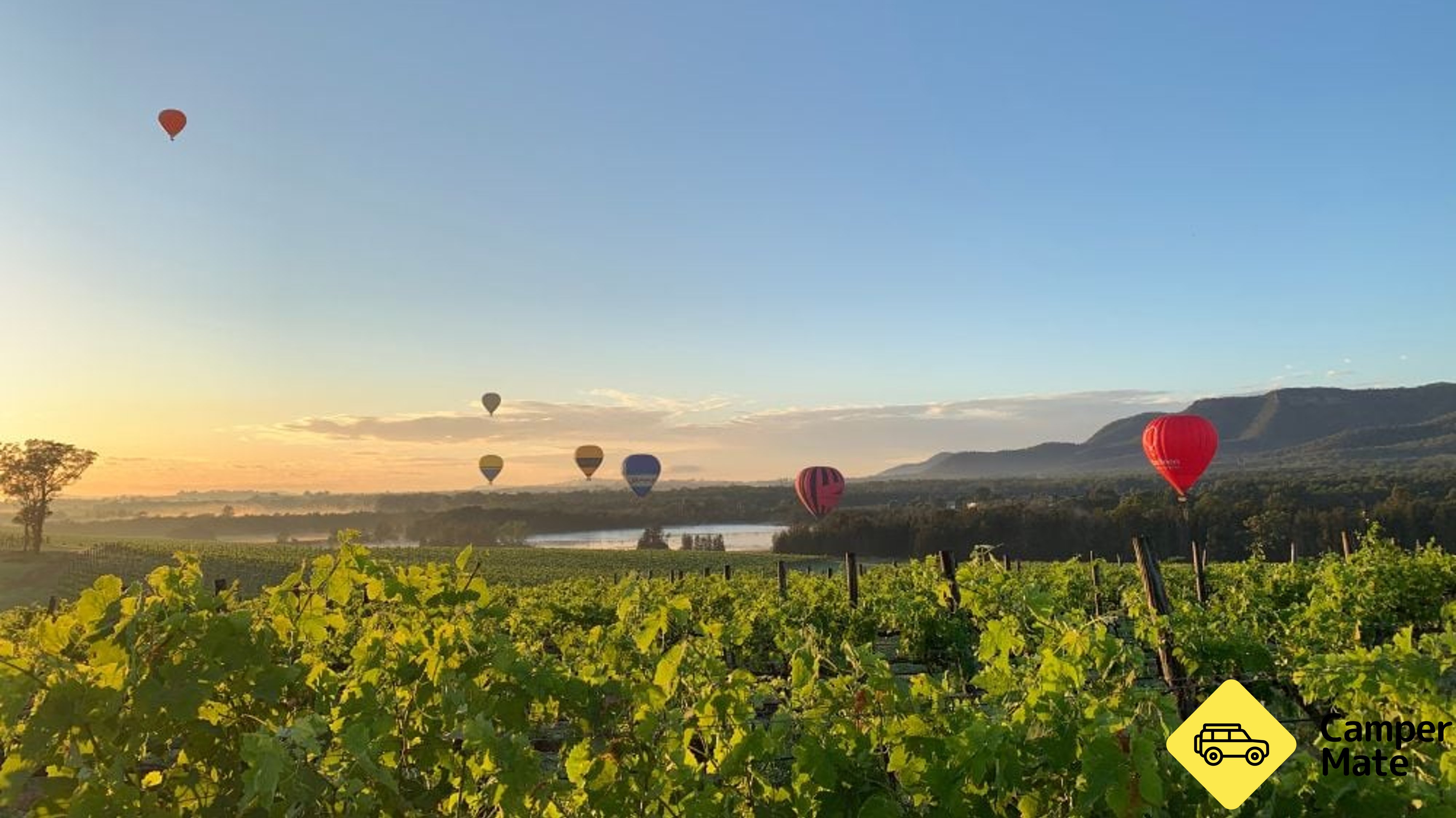 Sunrise Hunter Valley Hot Air Balloon Flight