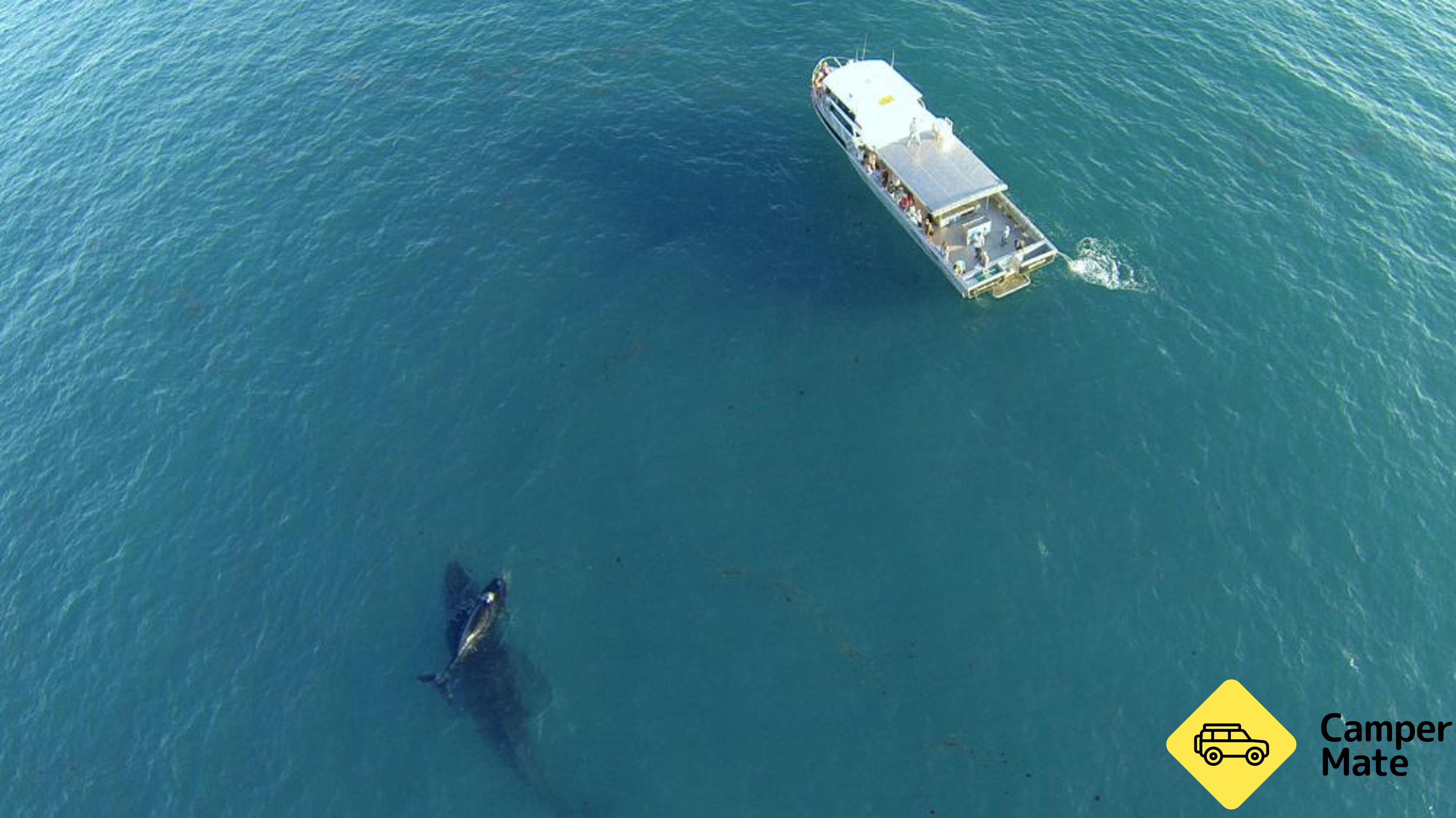 Broome Whale Watching Charters