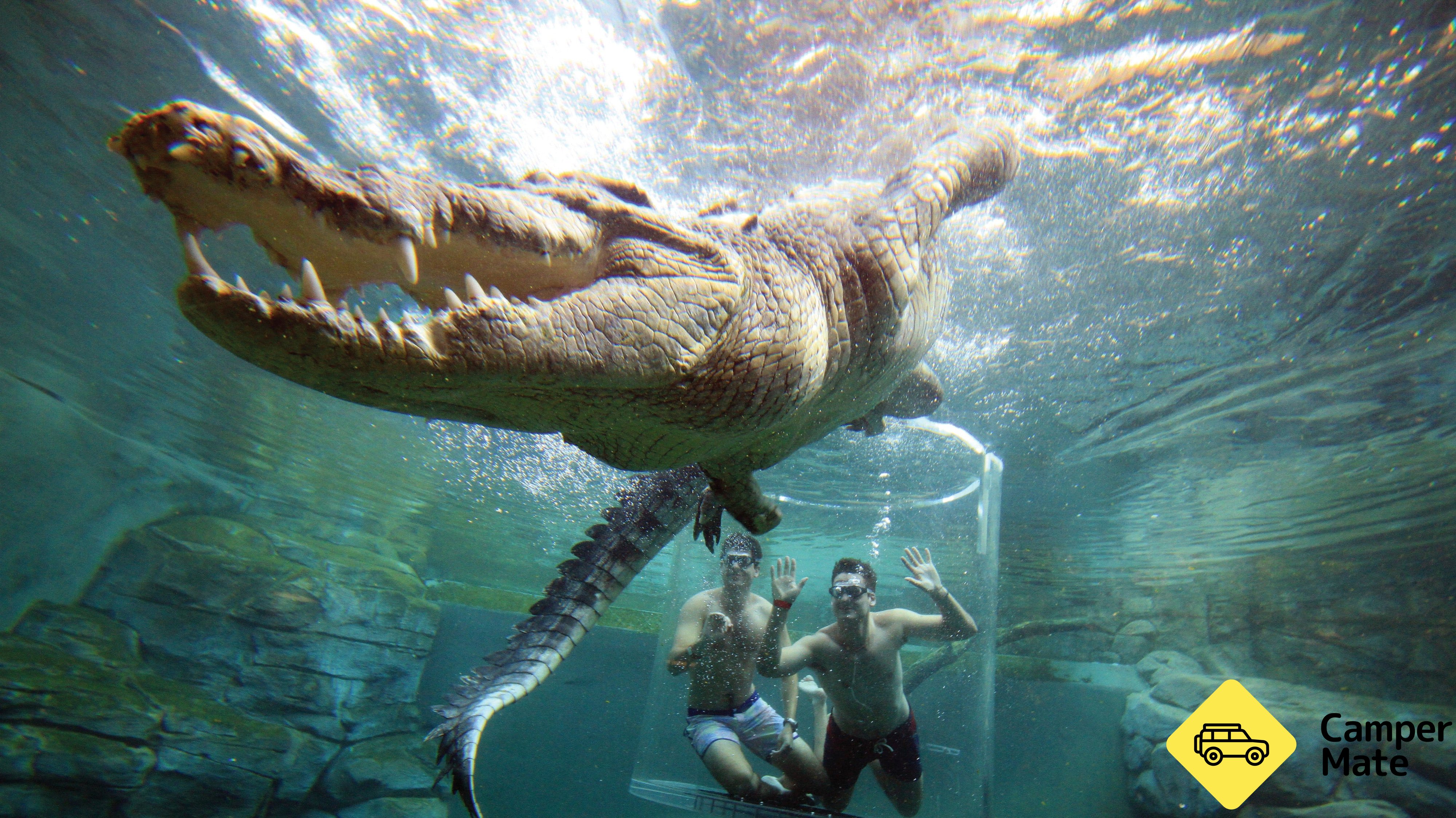 Crocosaurus Cove Crocodile Park