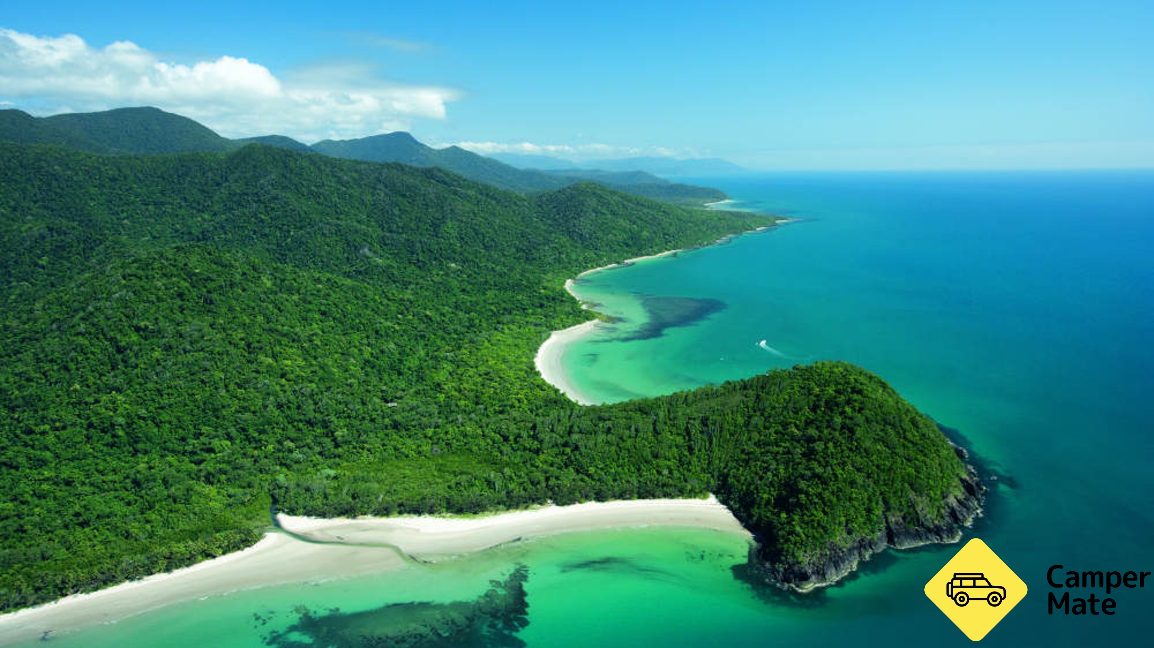 Cape Tribulation and Daintree Rainforest Tour