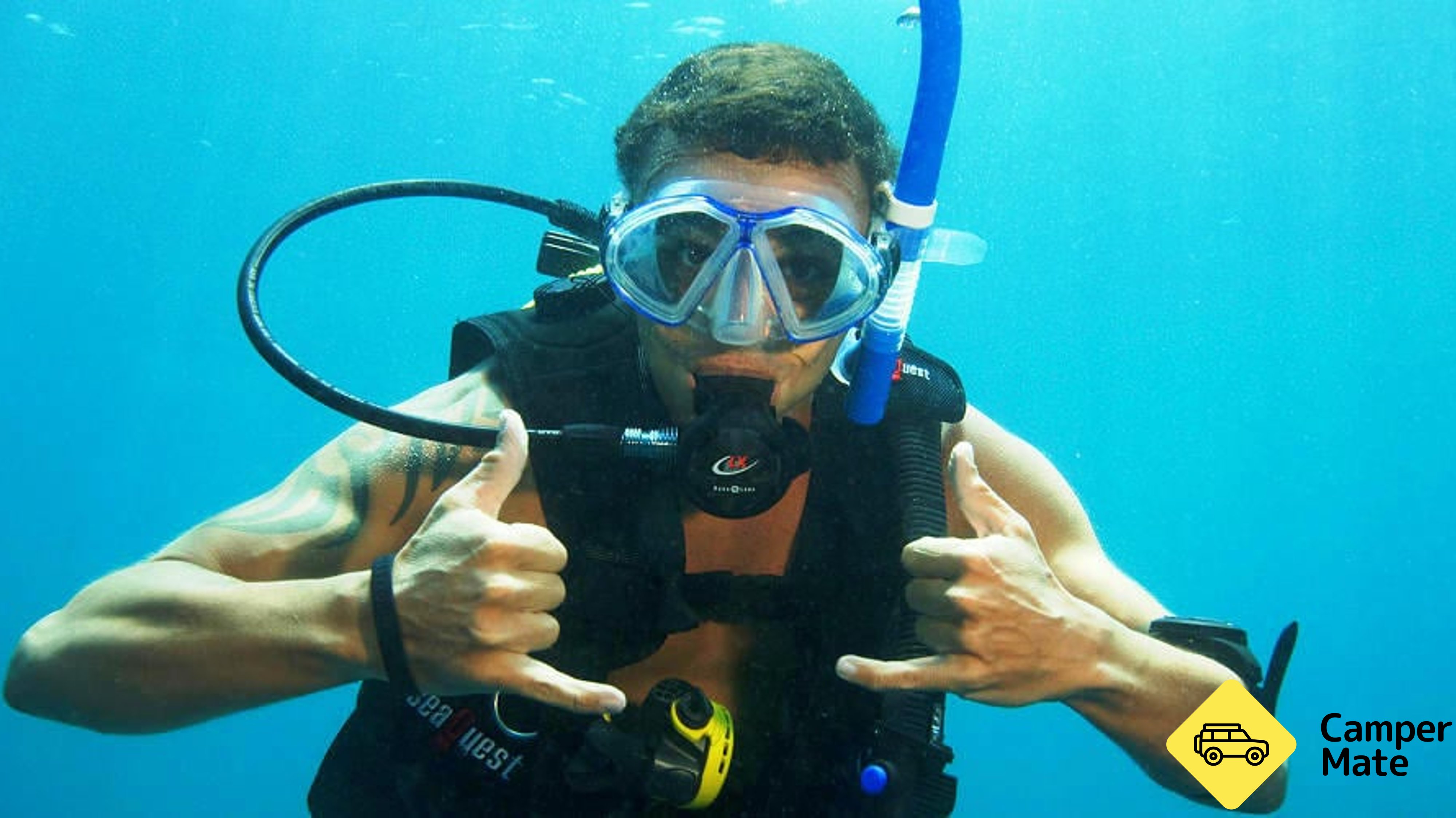 Moreton Island Scuba Diving