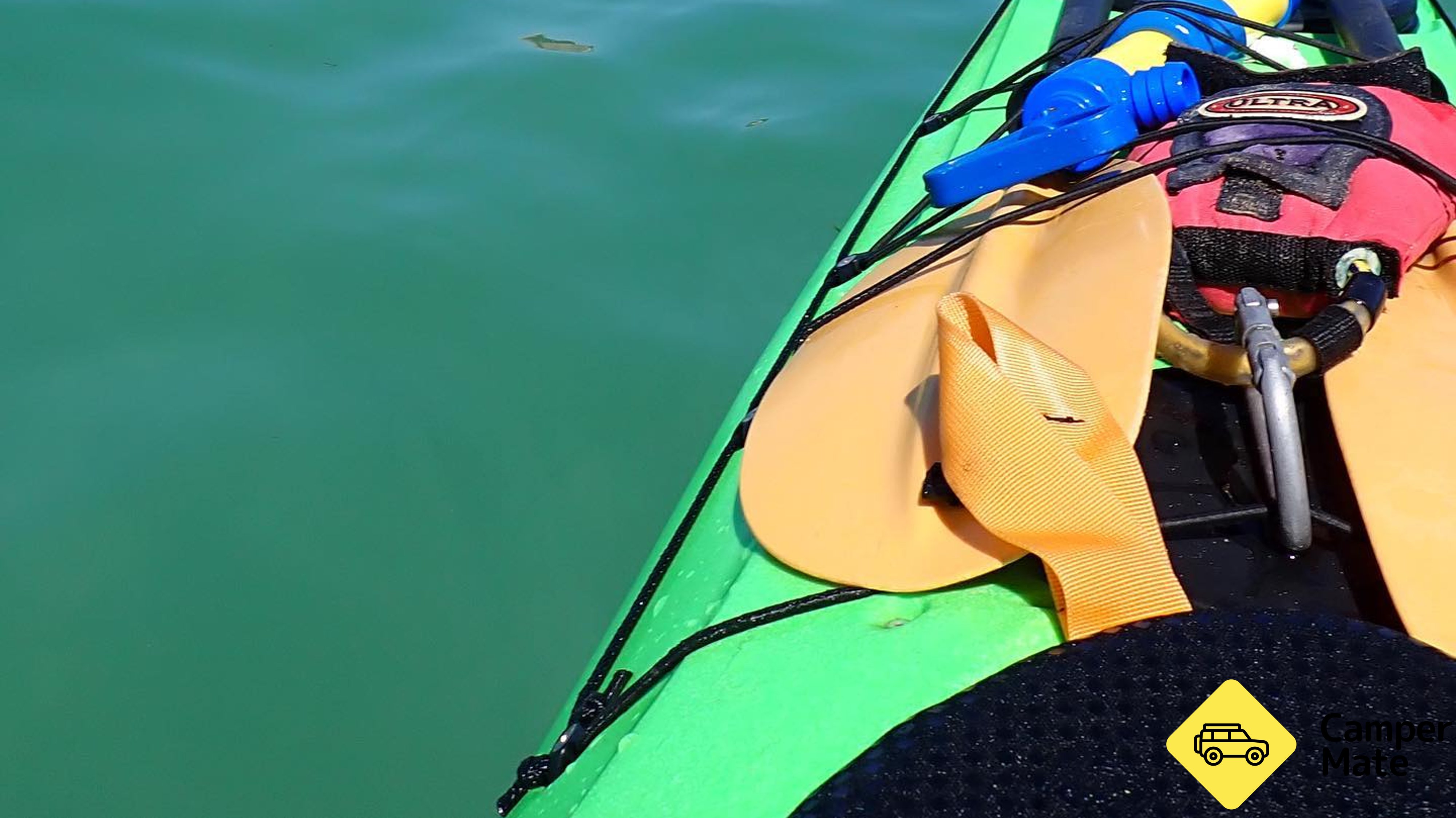 Penguin and Seal Islands Kayak Tour