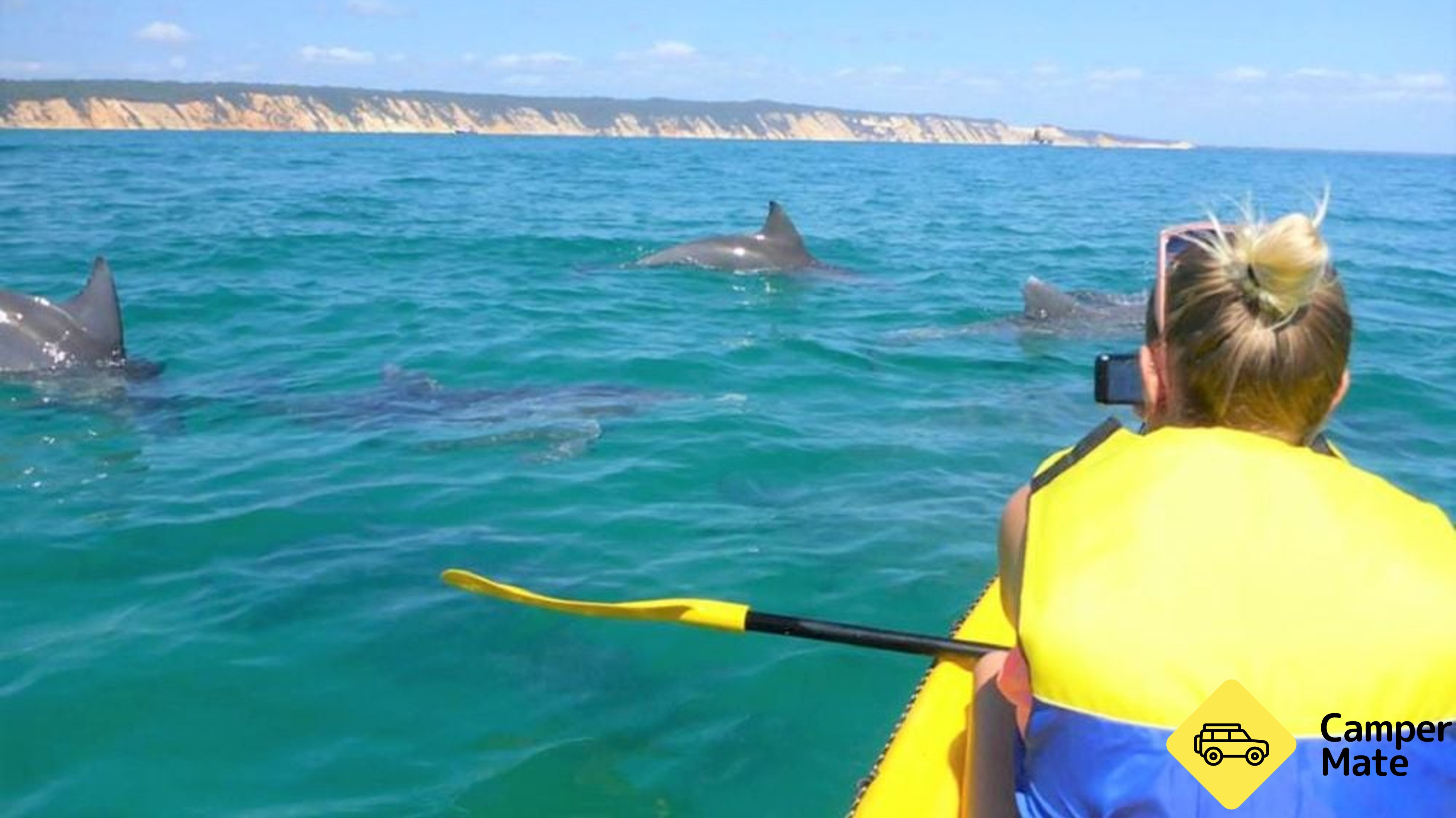 Noosa Dolphin View Kayak Tour