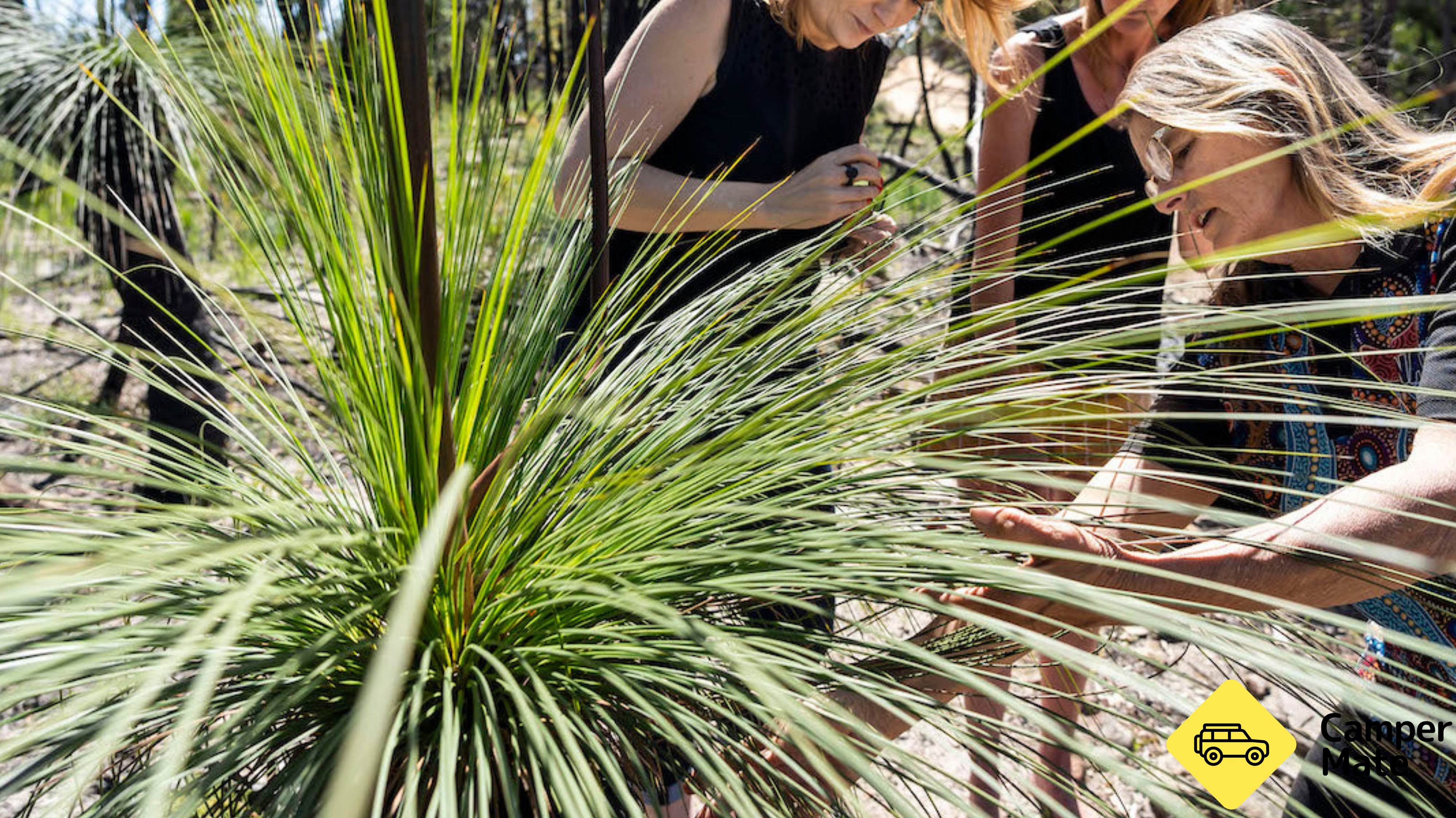 Mount Yengo Sunset Tour