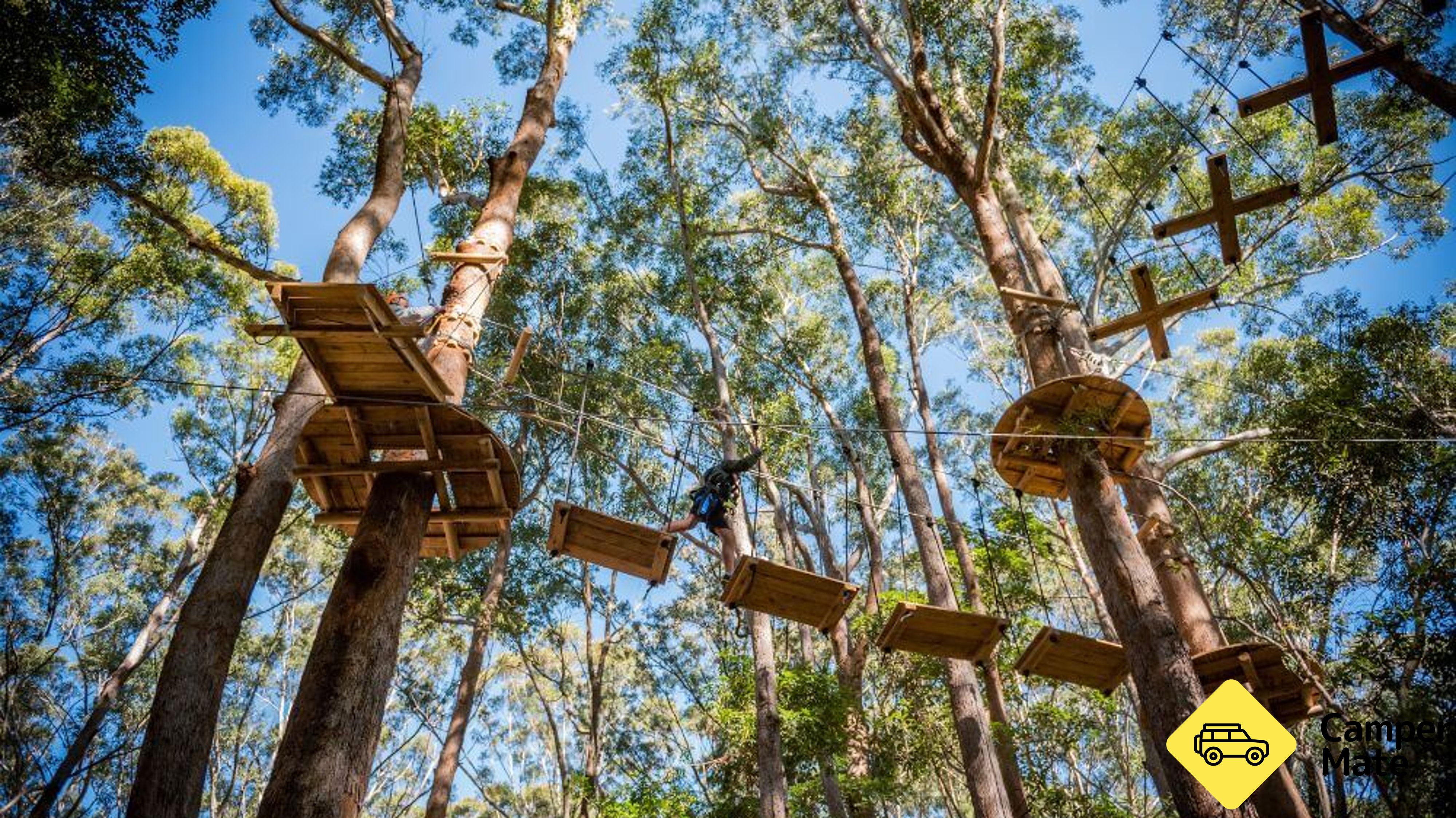 Treetop Adventure  Coffs Harbour 